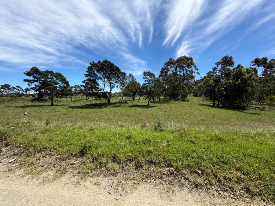 0 Bedroom Property for Sale in Butterworth Eastern Cape